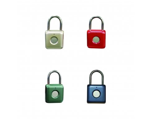 Digital Padlock PTR56