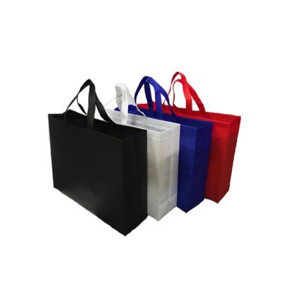 Non Woven Bag_PB493NW