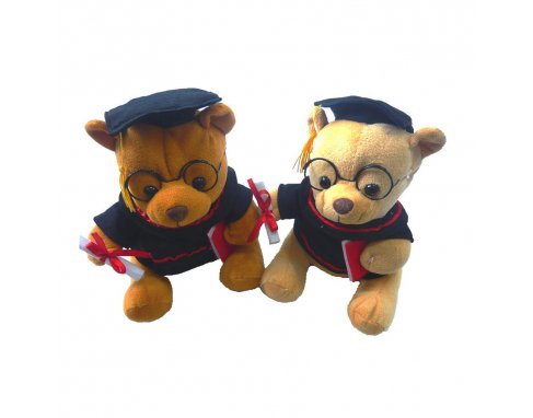 BEAR GRADUATION_PLF132