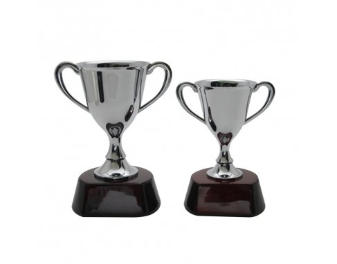 Trophy Metallic Silver Chrome Cup